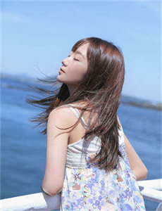 扫毒在线观看/知日者网盟