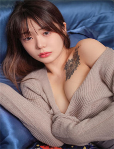 为有暗香来电视剧免费观看