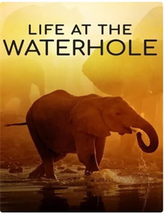 姐妹互换:家乡假期